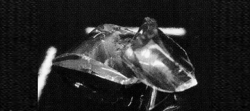 ガラス被膜を形成写真